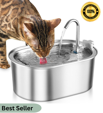 Cat Water Fountain