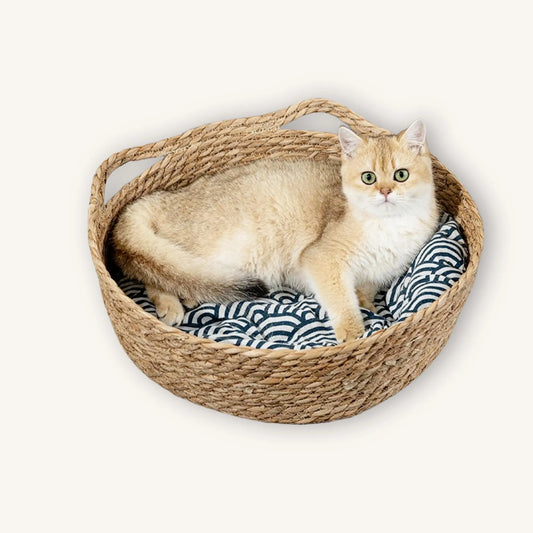 BubuKuku Handmade Woven Cat Bed with Cushion & Bamboo Mat